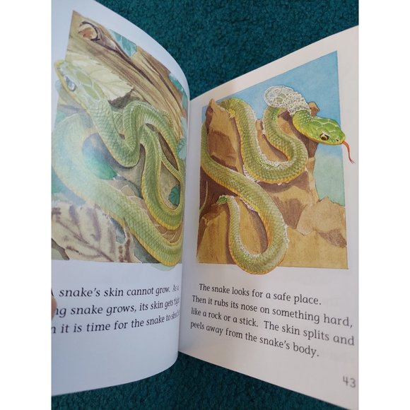 Houghton Mifflin Reading Phonics Library Nature Walk & Amazing Animals Book Lot - Picture 4 of 8